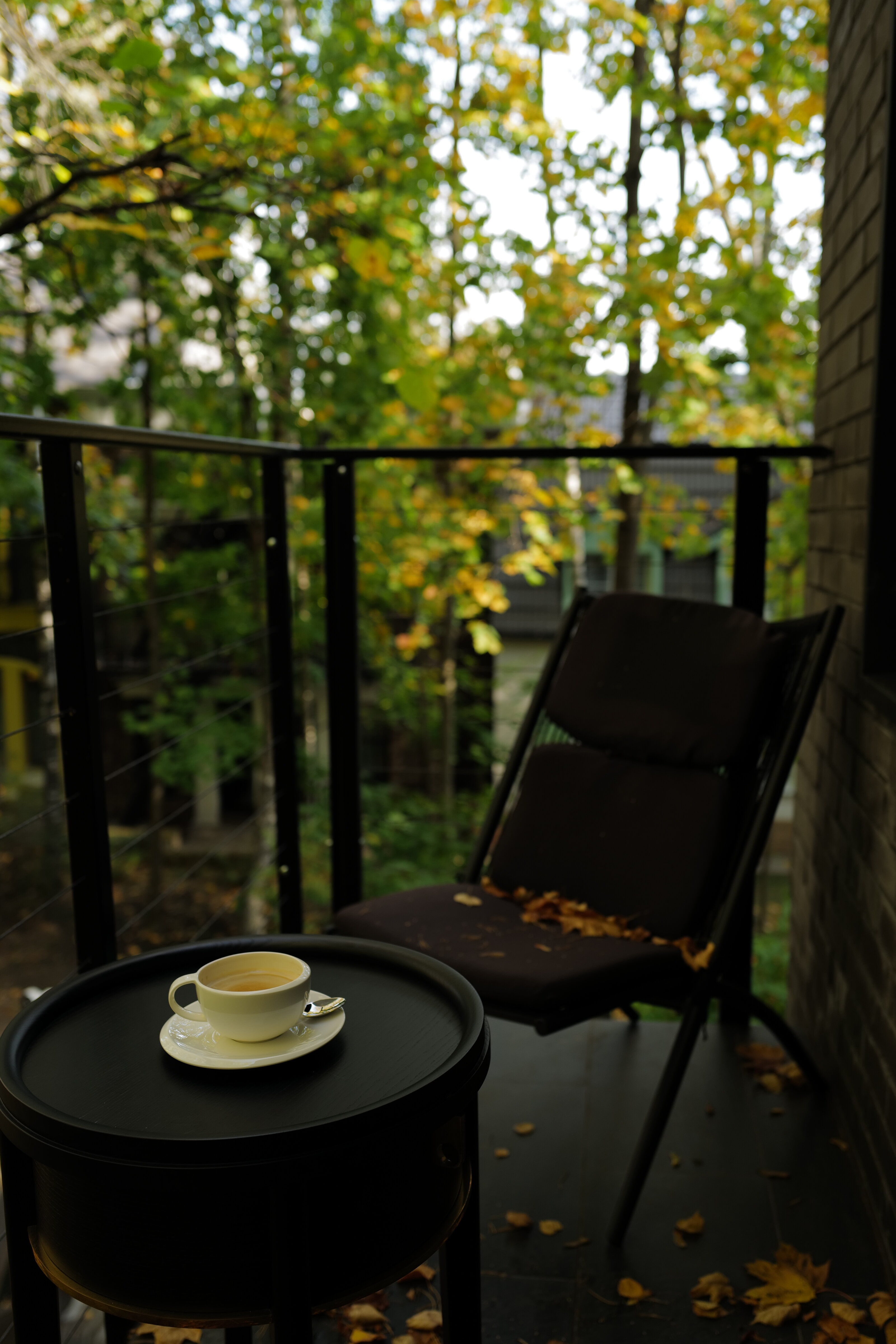 Фото Roka Park Collection