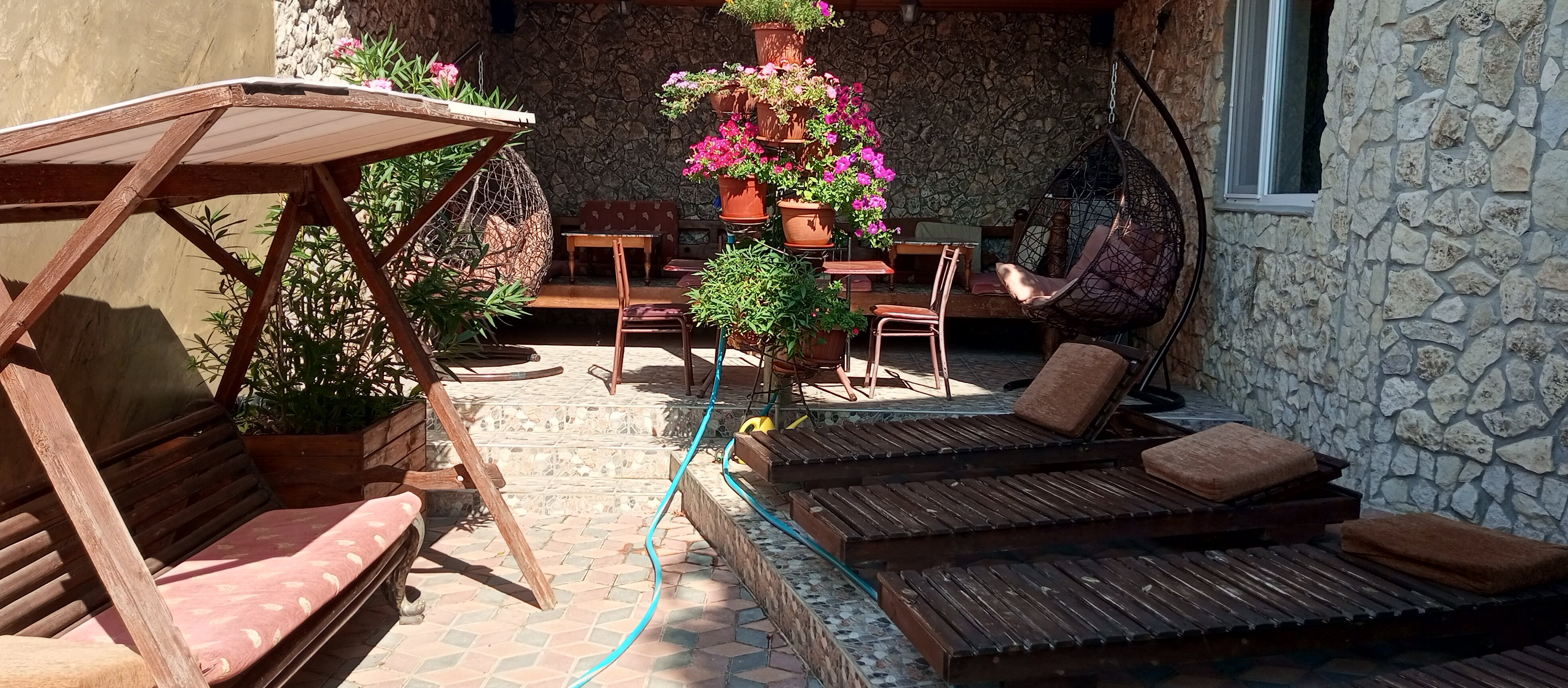 Фото Сапсан