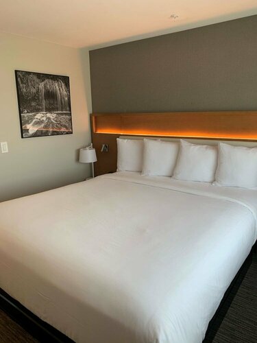Гостиница Radisson Hotel West Sacramento в Вест Сакраменто