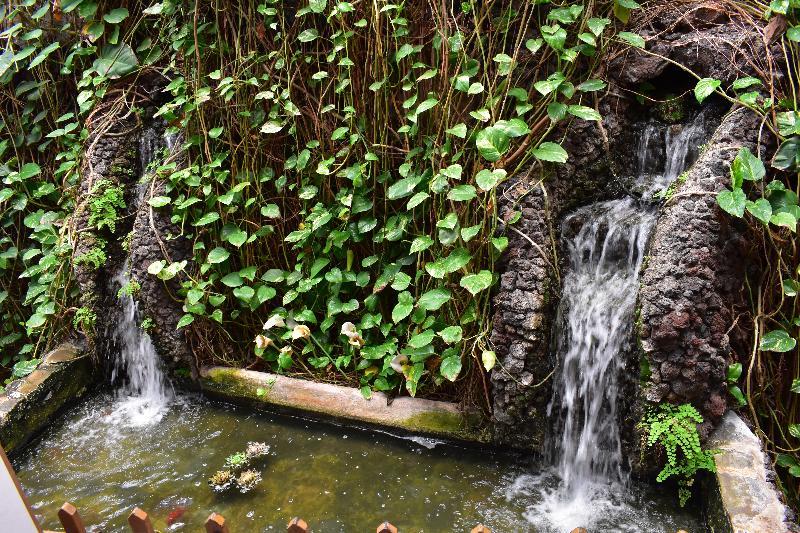 Фото La Fonda Aeropuerto
