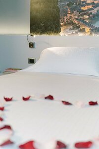 Гостиница Hotel Giulietta e Romeo