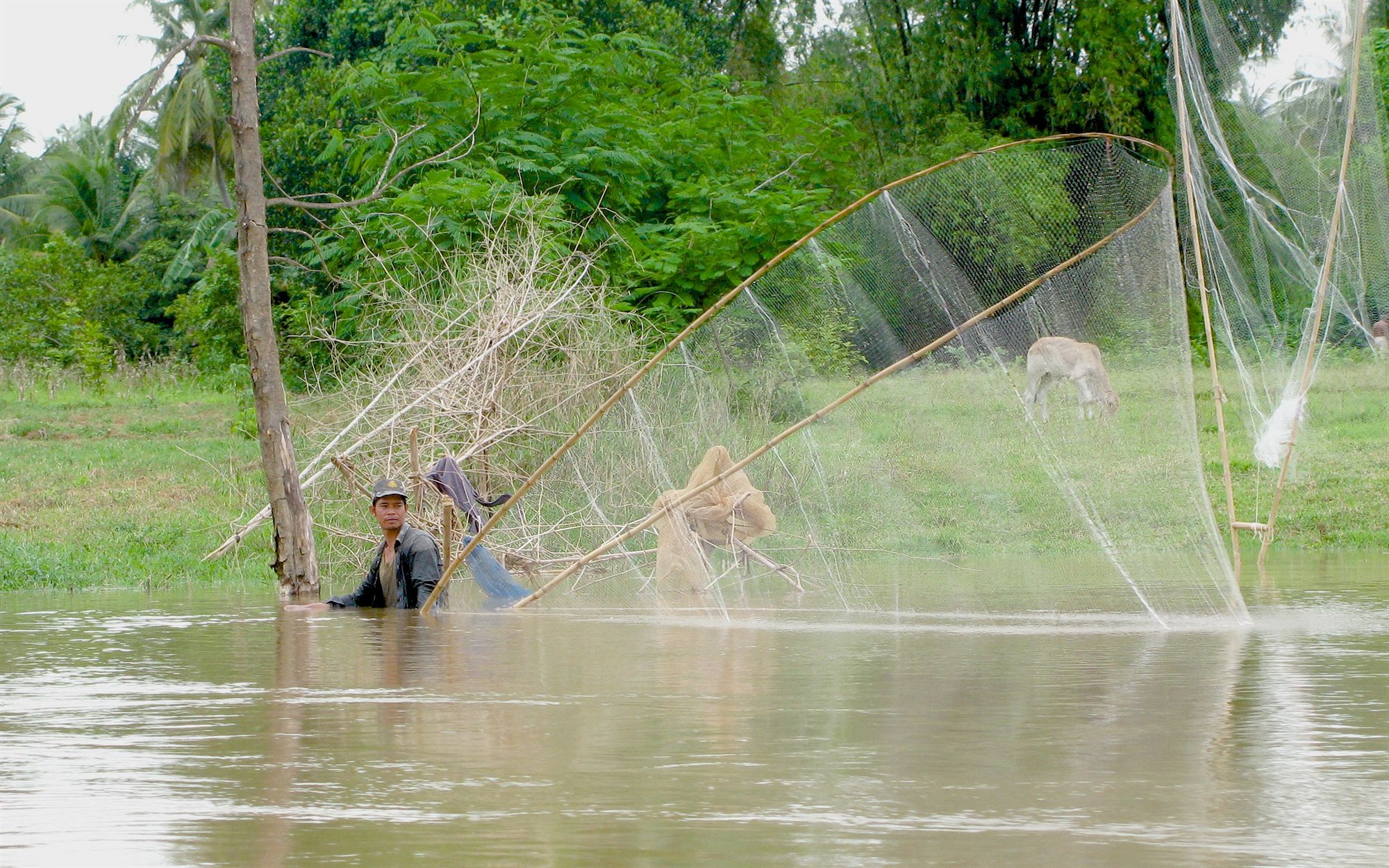 Фото Maisons Wat Kor
