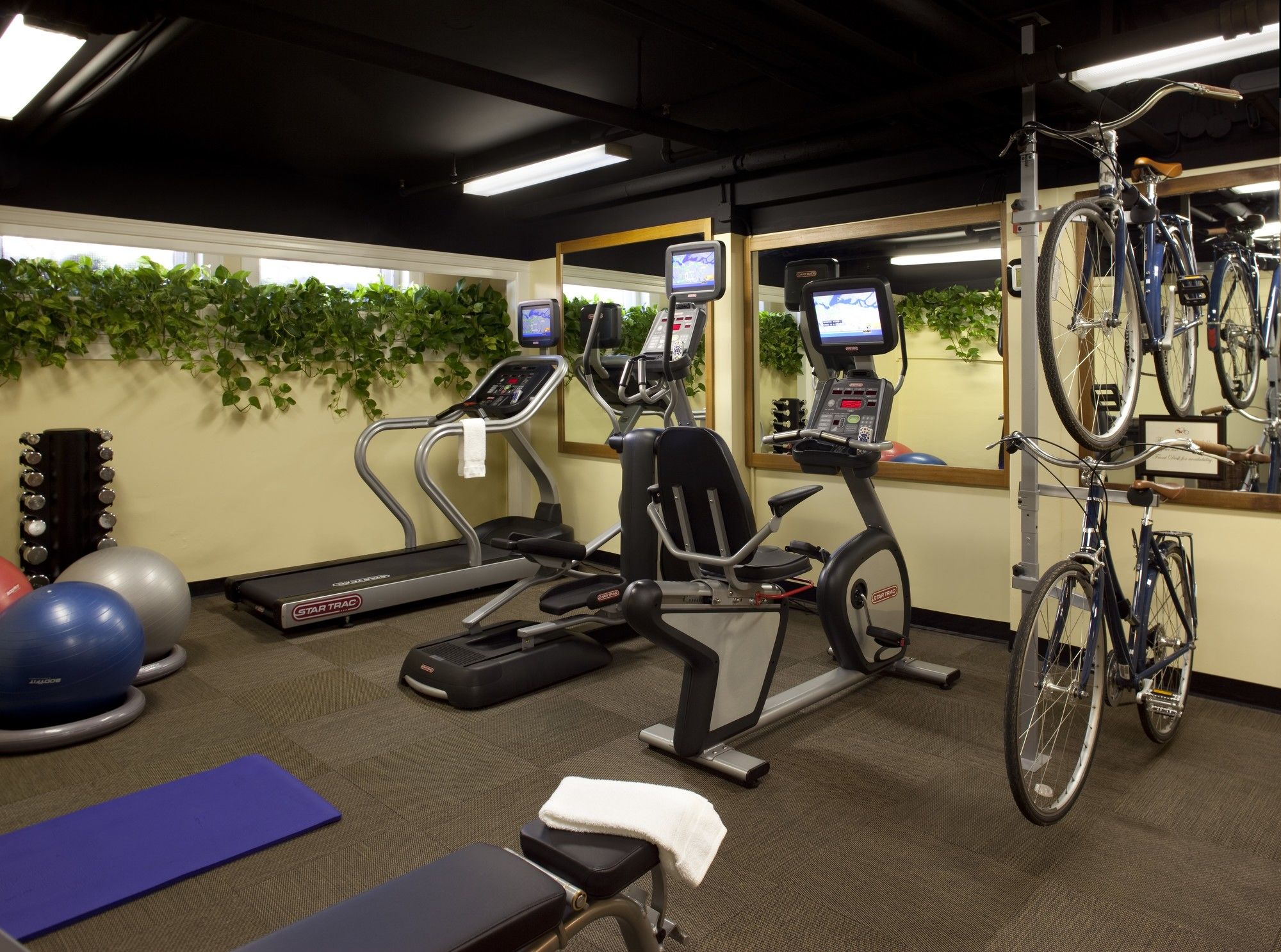 Фото Hotel Drisco