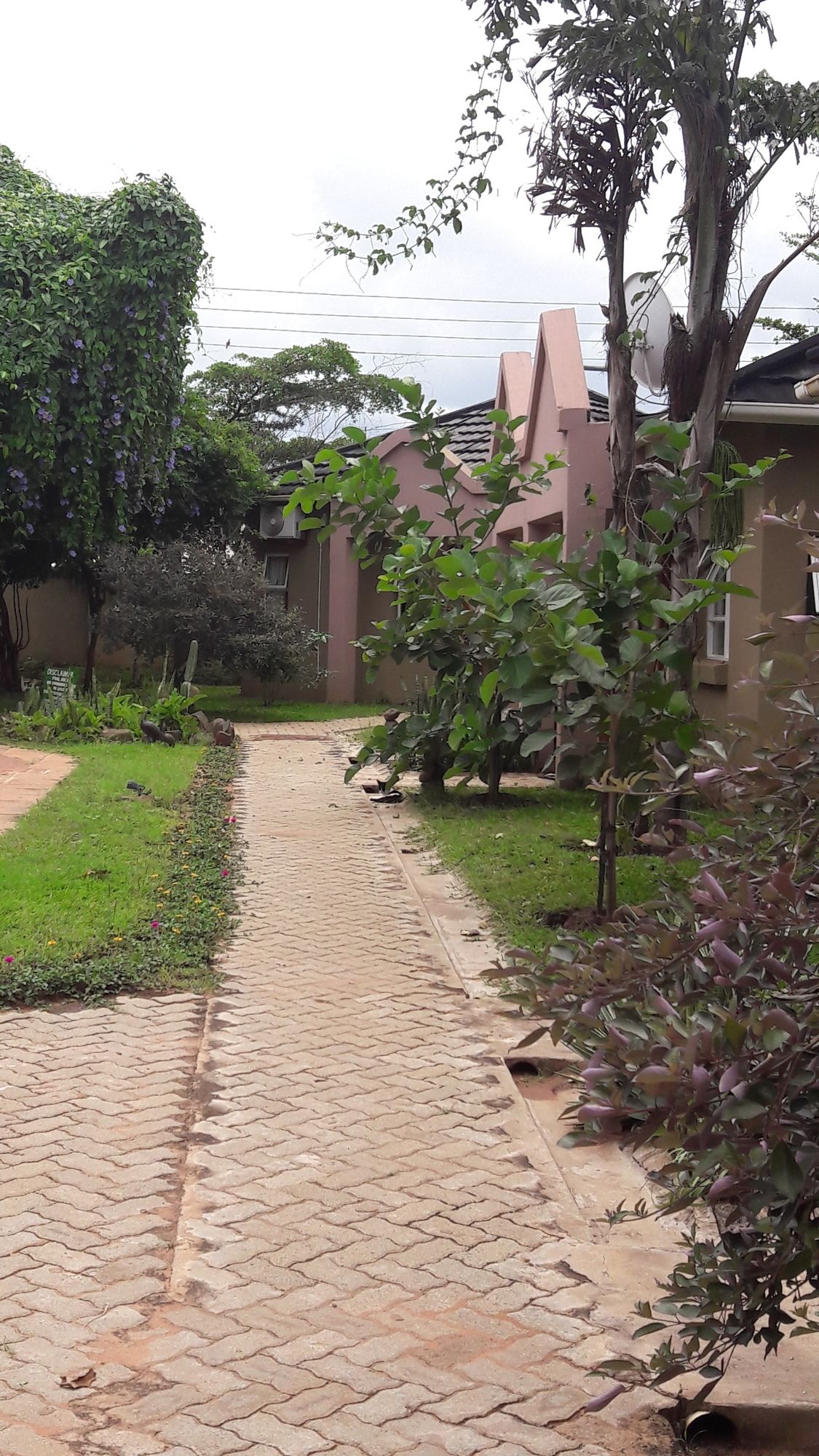 Фото Tasha Lodge