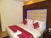 Фото Hotel Shelton