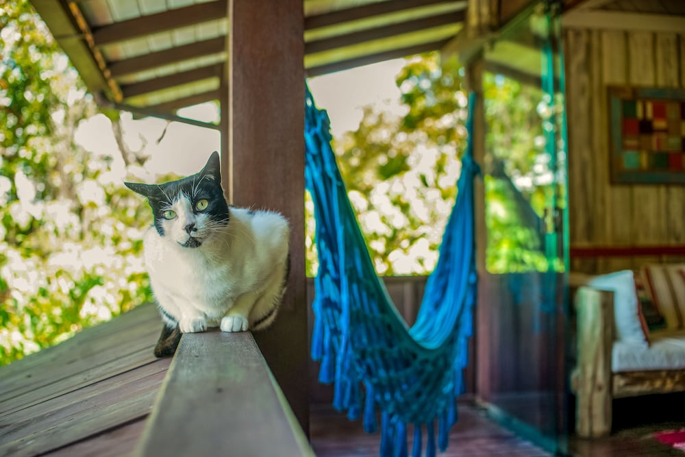 Фото Pousada Morada da Praia do Rosa