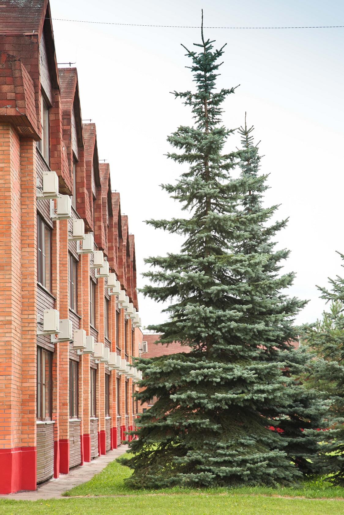 Фото Сусанин парк