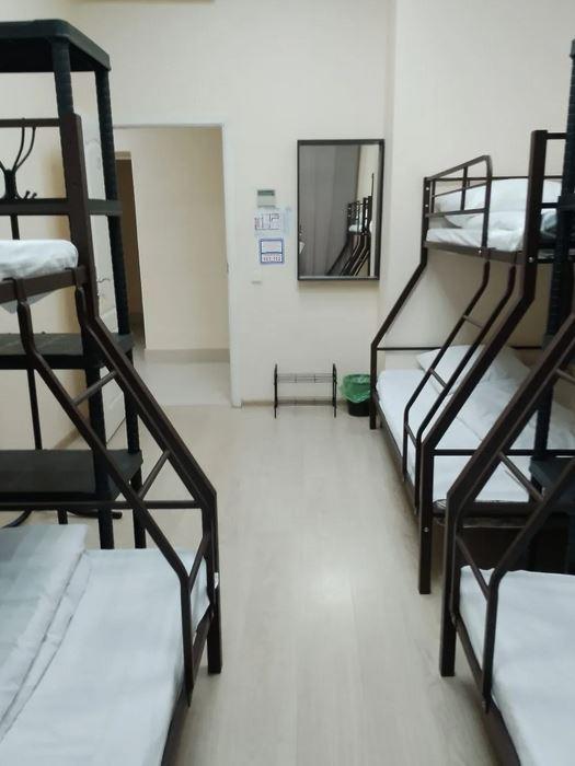 Фото Все медведи