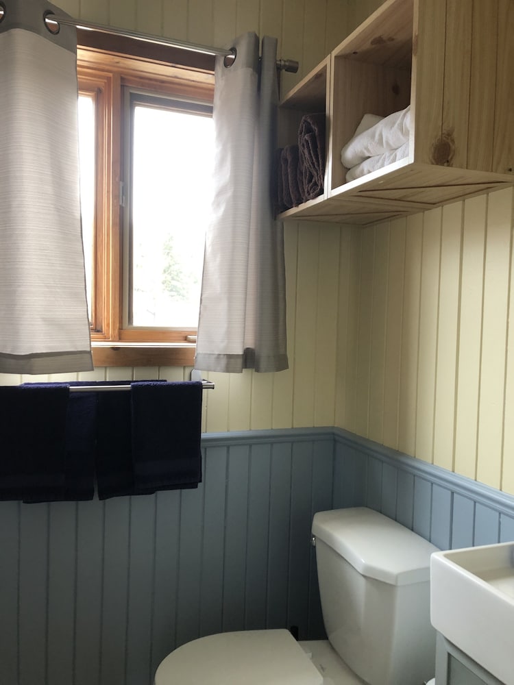 Фото Les chanterelles de Forillon