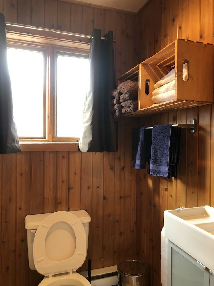 Фото Les chanterelles de Forillon