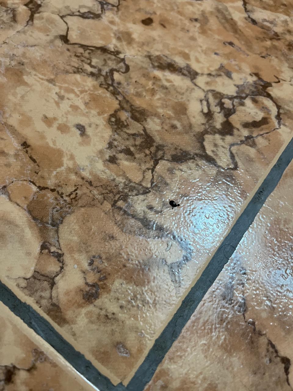 Фото Островок