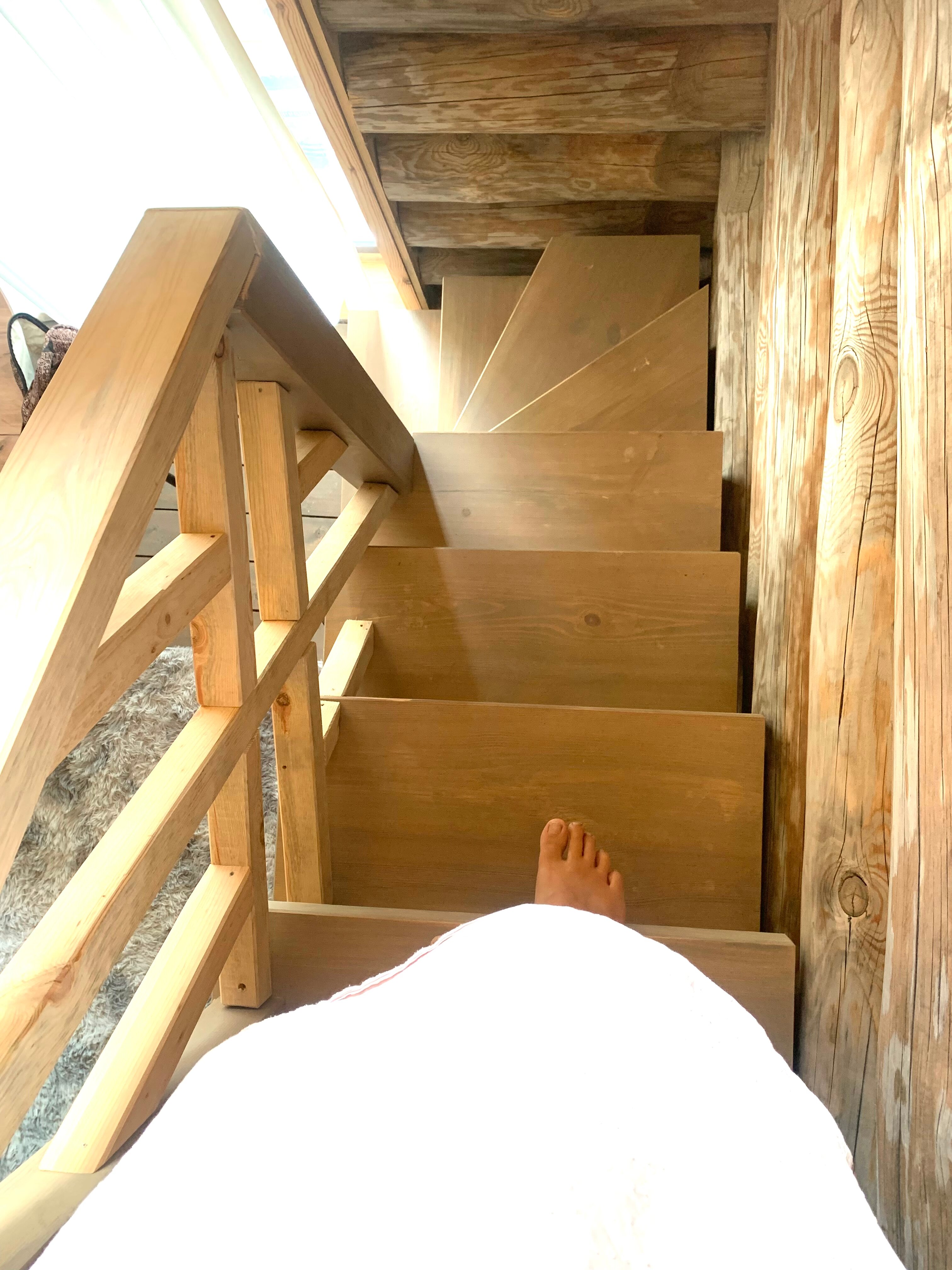 Фото Козы да Березы