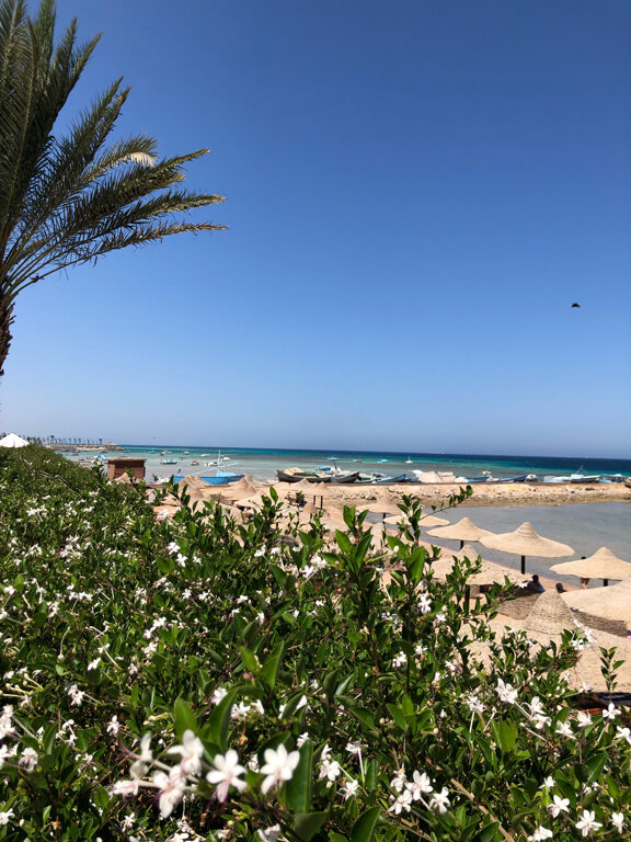 Фото Royal Star Beach Resort