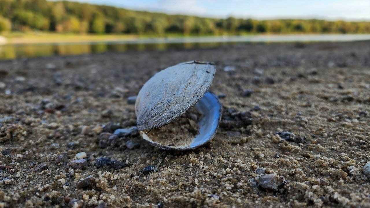 Фото Вилла Your Friends Tarusa