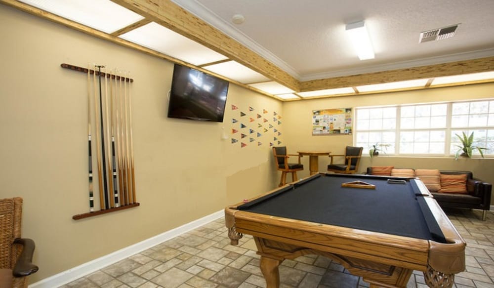 Фото Tropical Palms