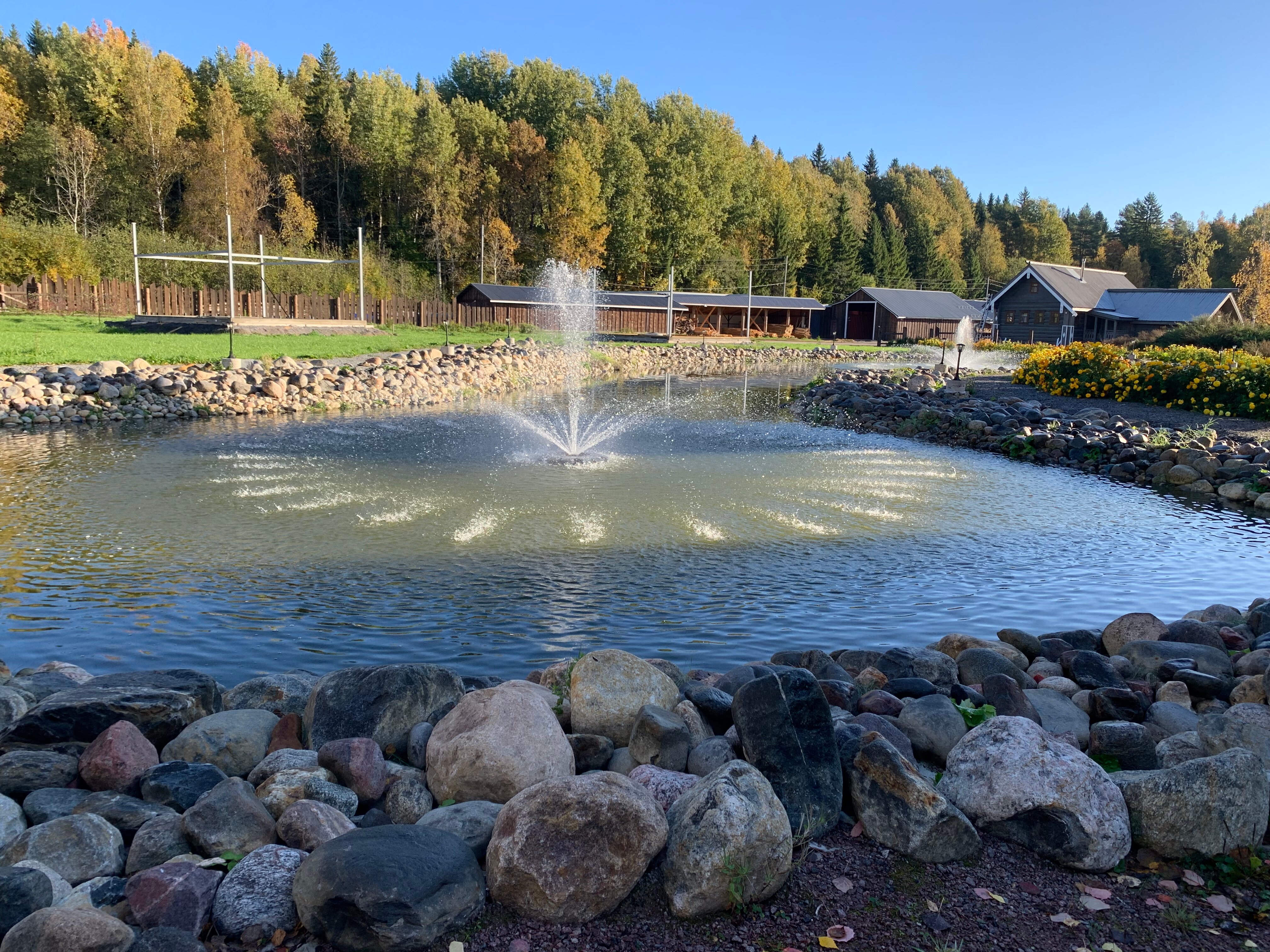 Фото Времена Года