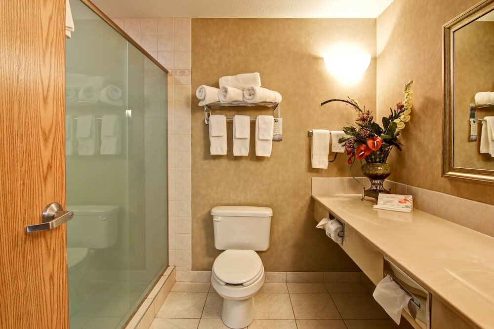 Фото Stettler Canalta