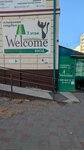 Welcome (Narodnaya ulitsa, 8/1) ، دورات لغة أجنبية