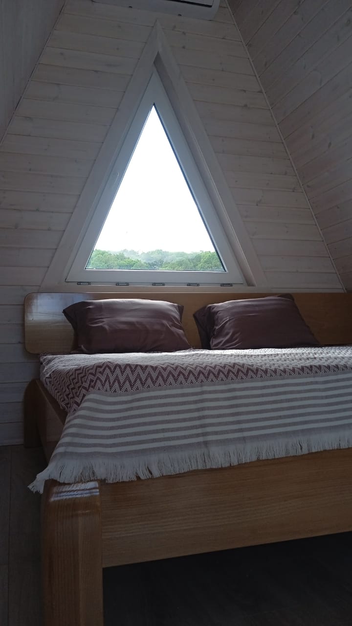 Фото Ёлки-Иголки