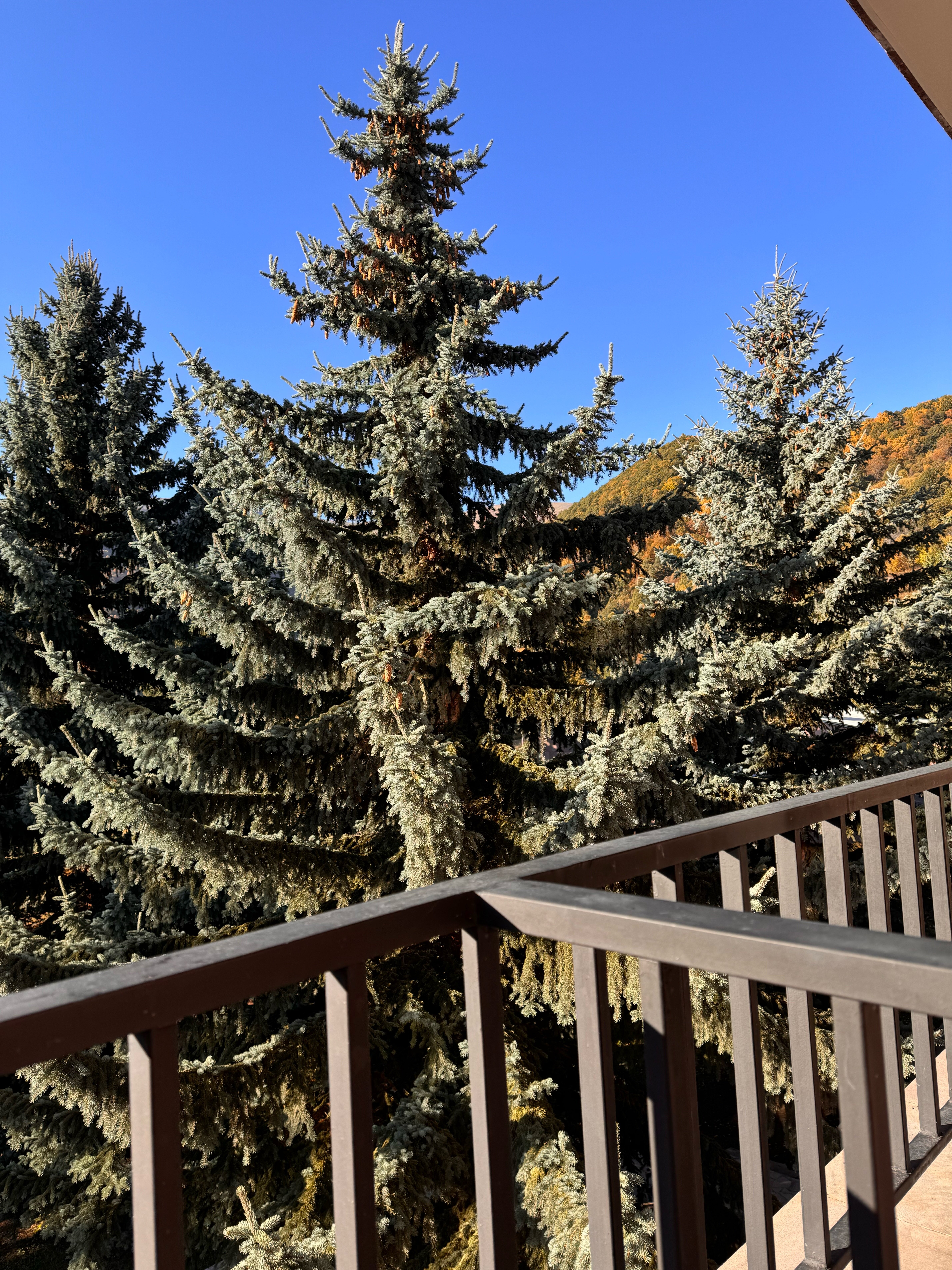 Фото 156473314536