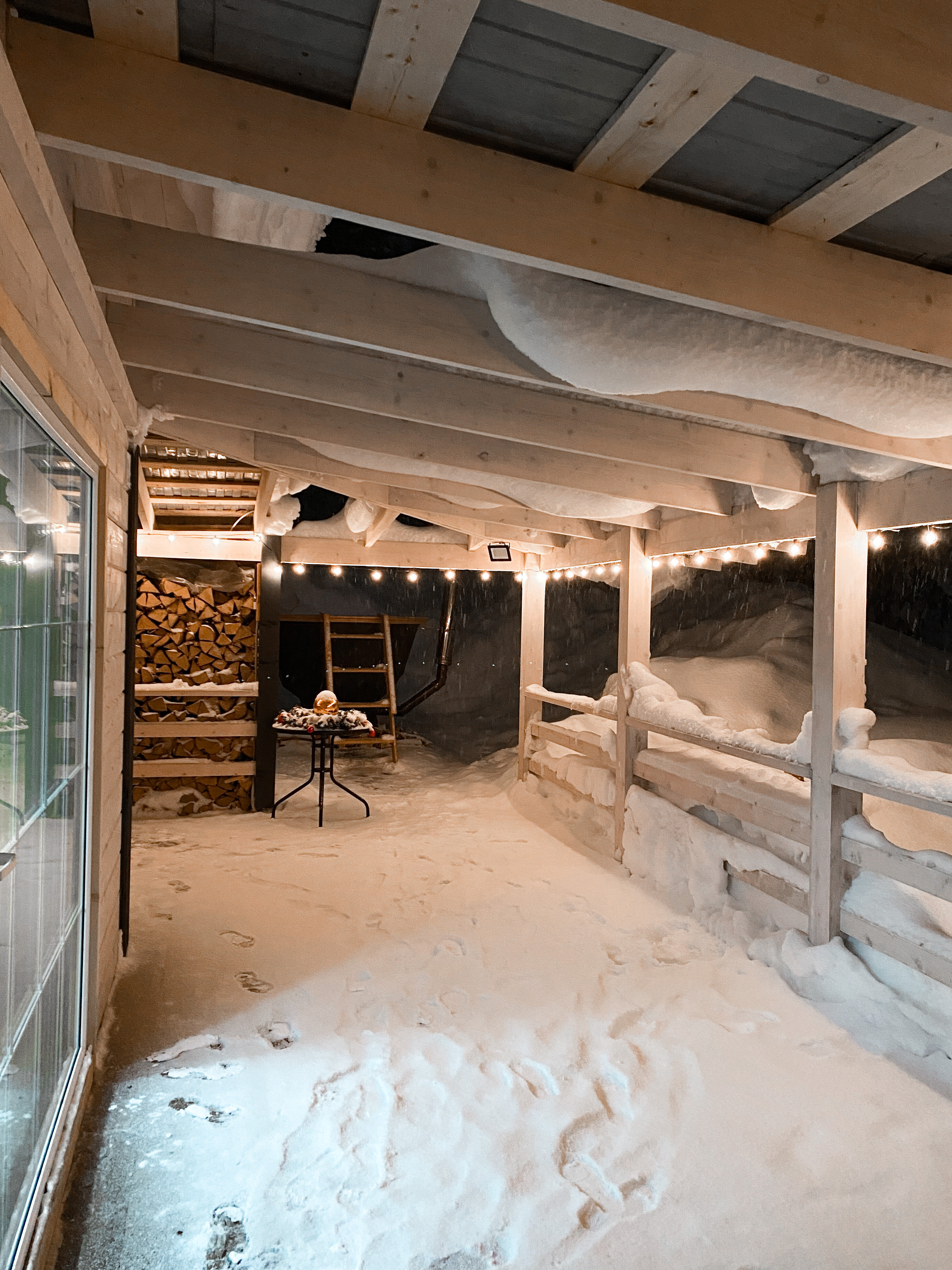 Фото Брусника № 1