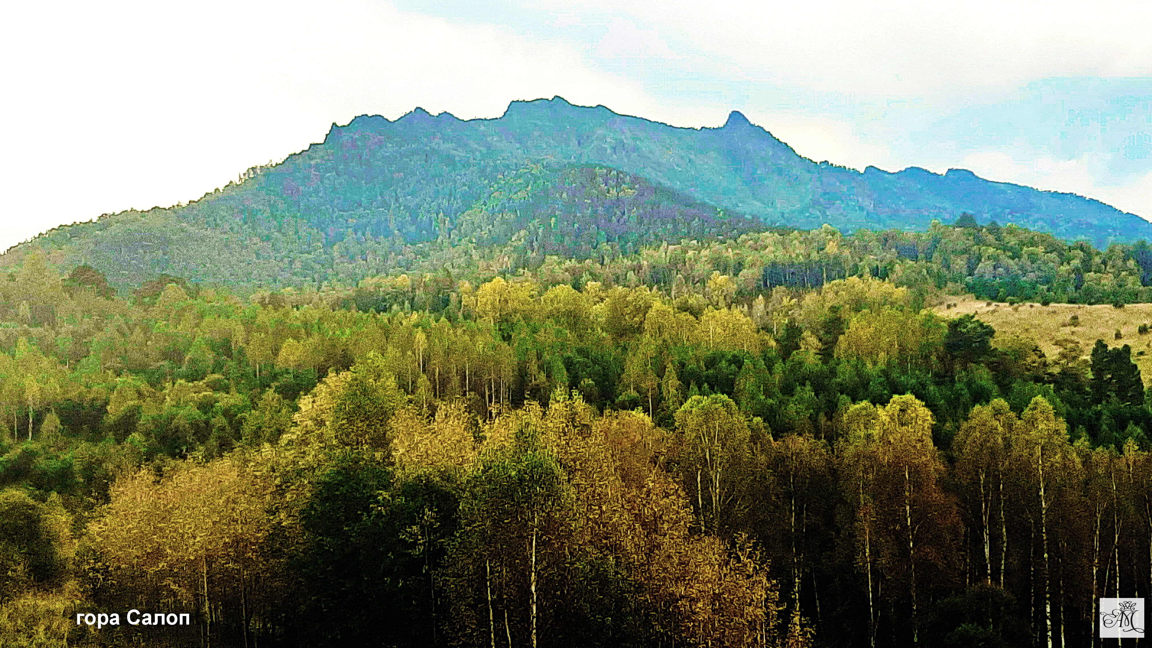 Фото Усадьба Лебедь