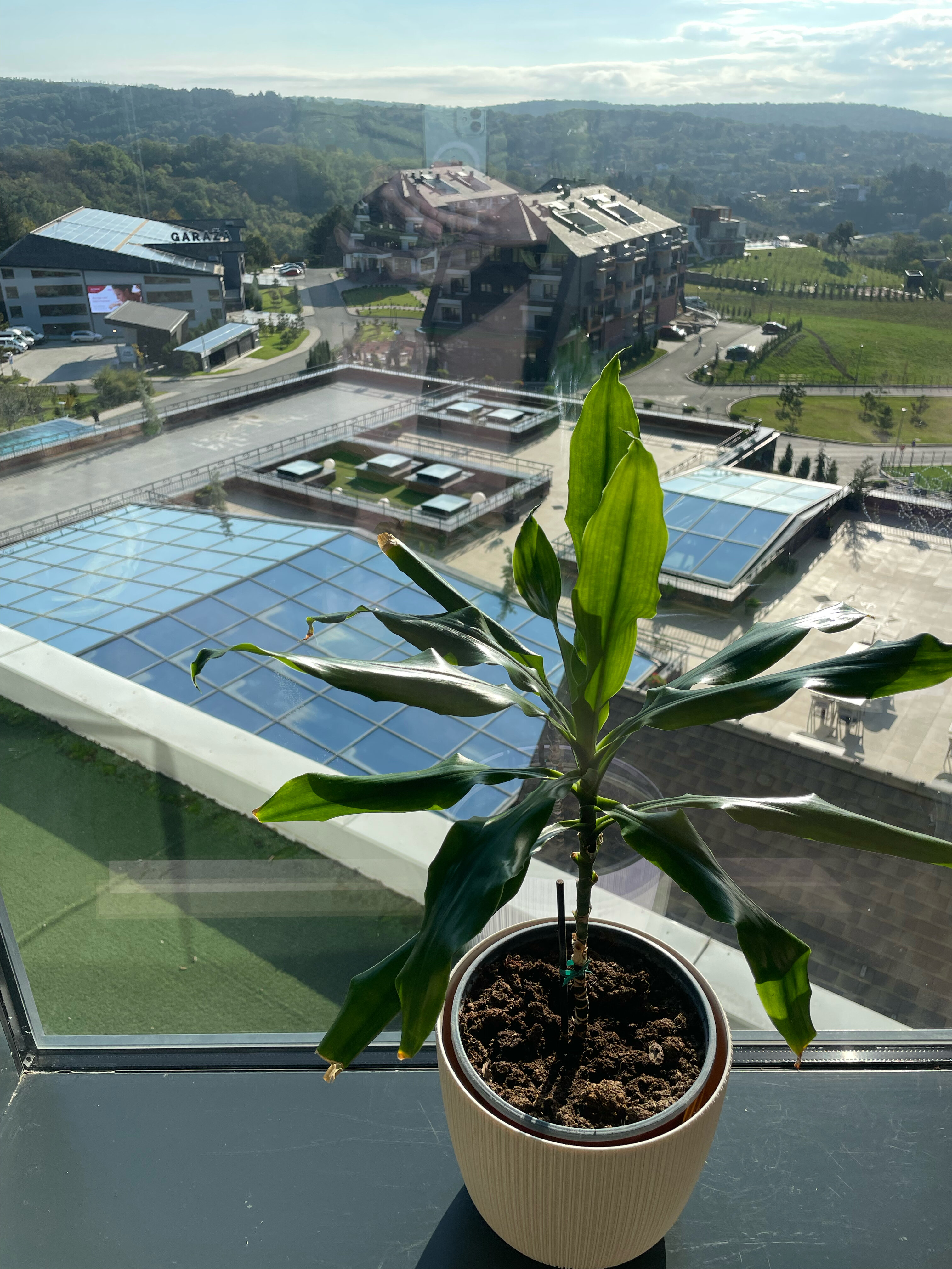 Фото Mövenpick Resort and SPA Fruske Terme