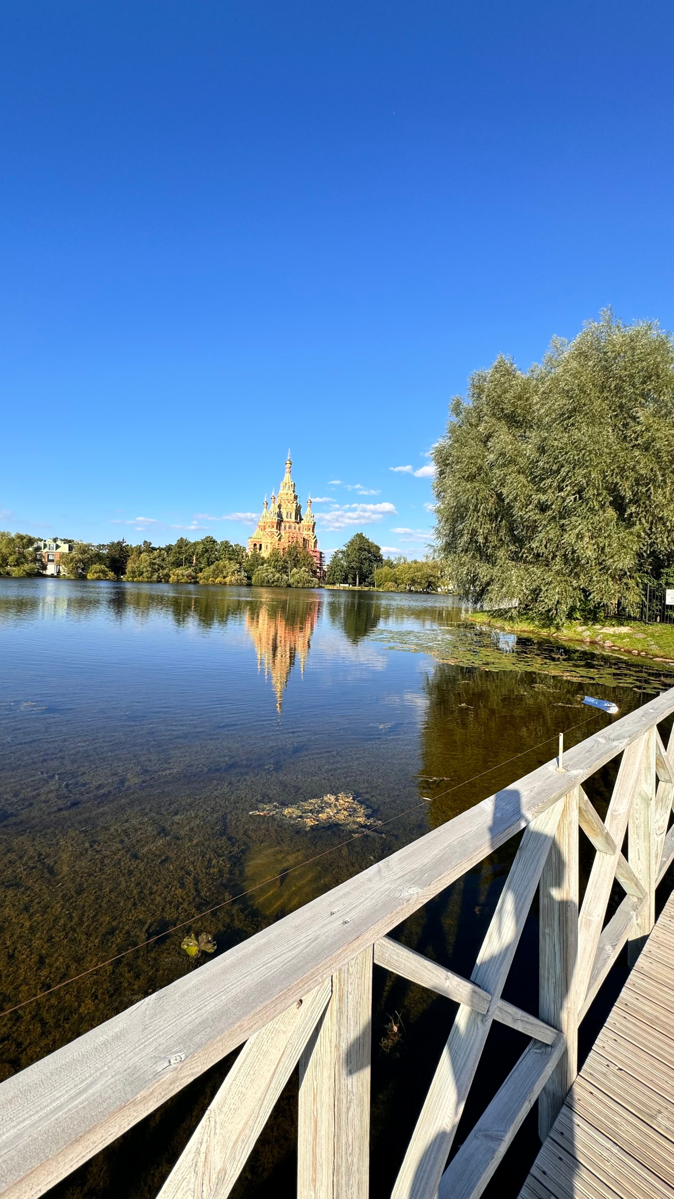 Фото Кувшиново Сити