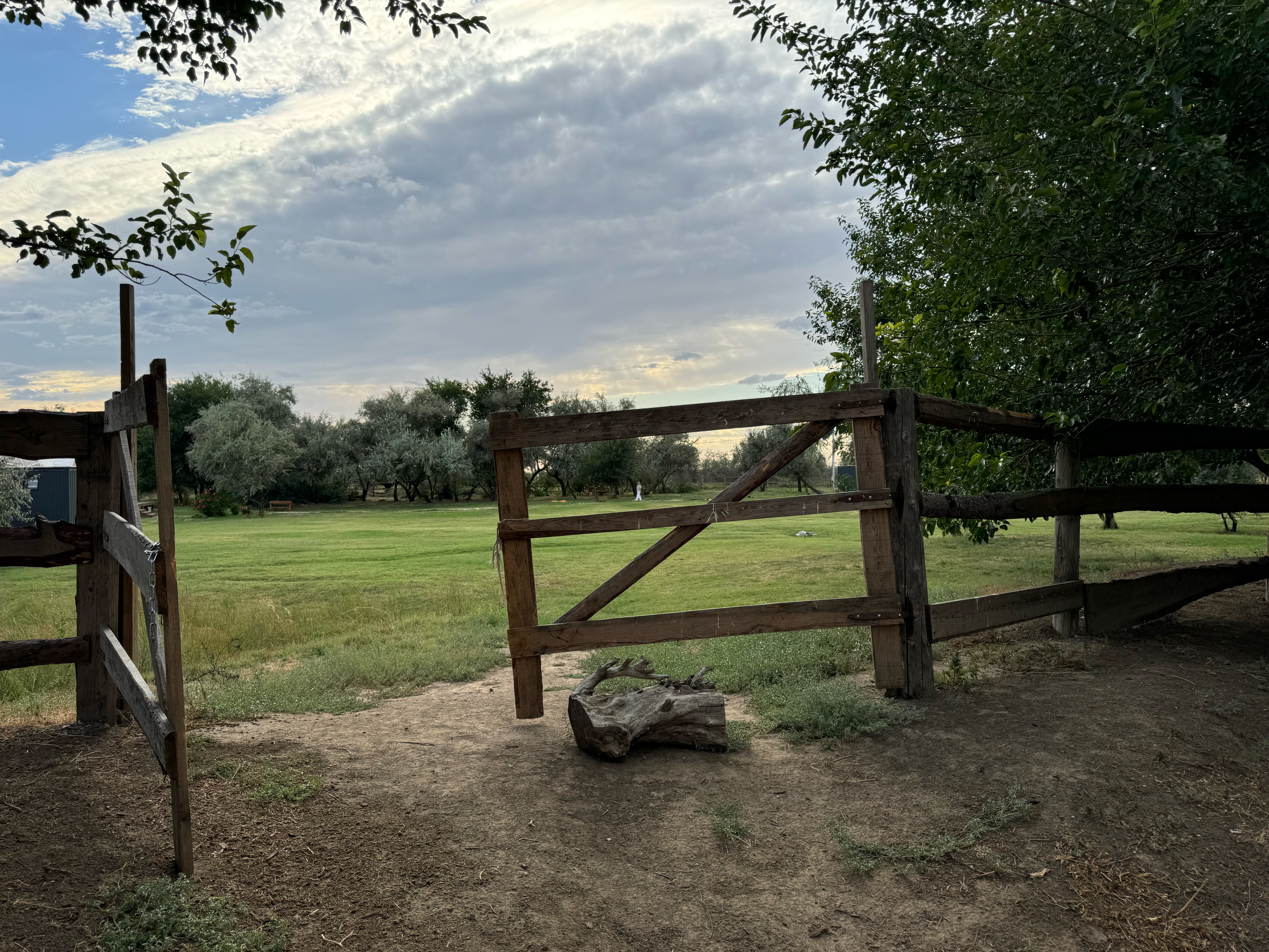 Фото Загородный парк Баклушино