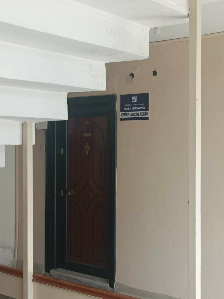 Tax consultants Emine Akcoltekin, Antalya, photo