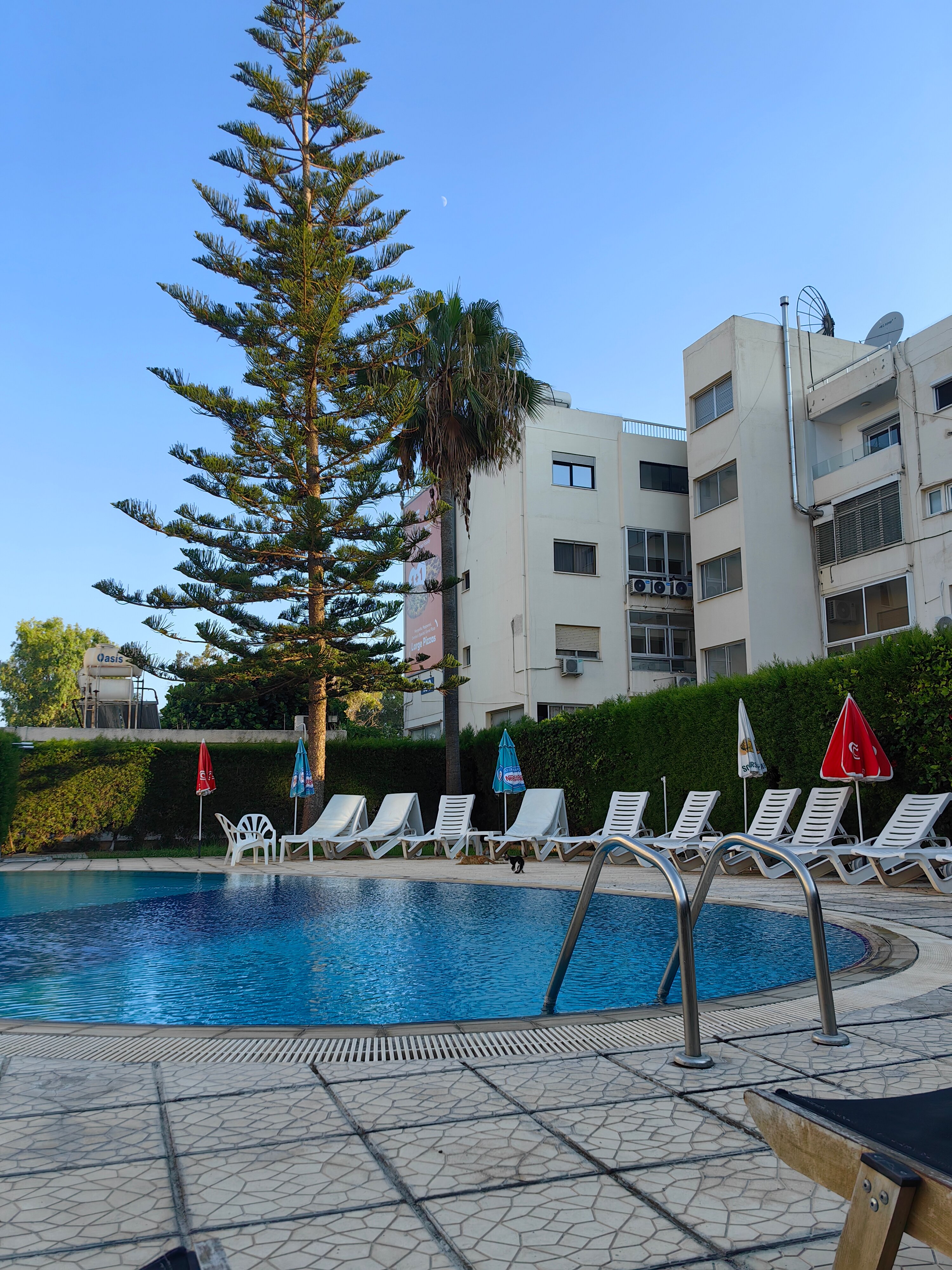 Фото Pigeon Beach Hotel Apartments