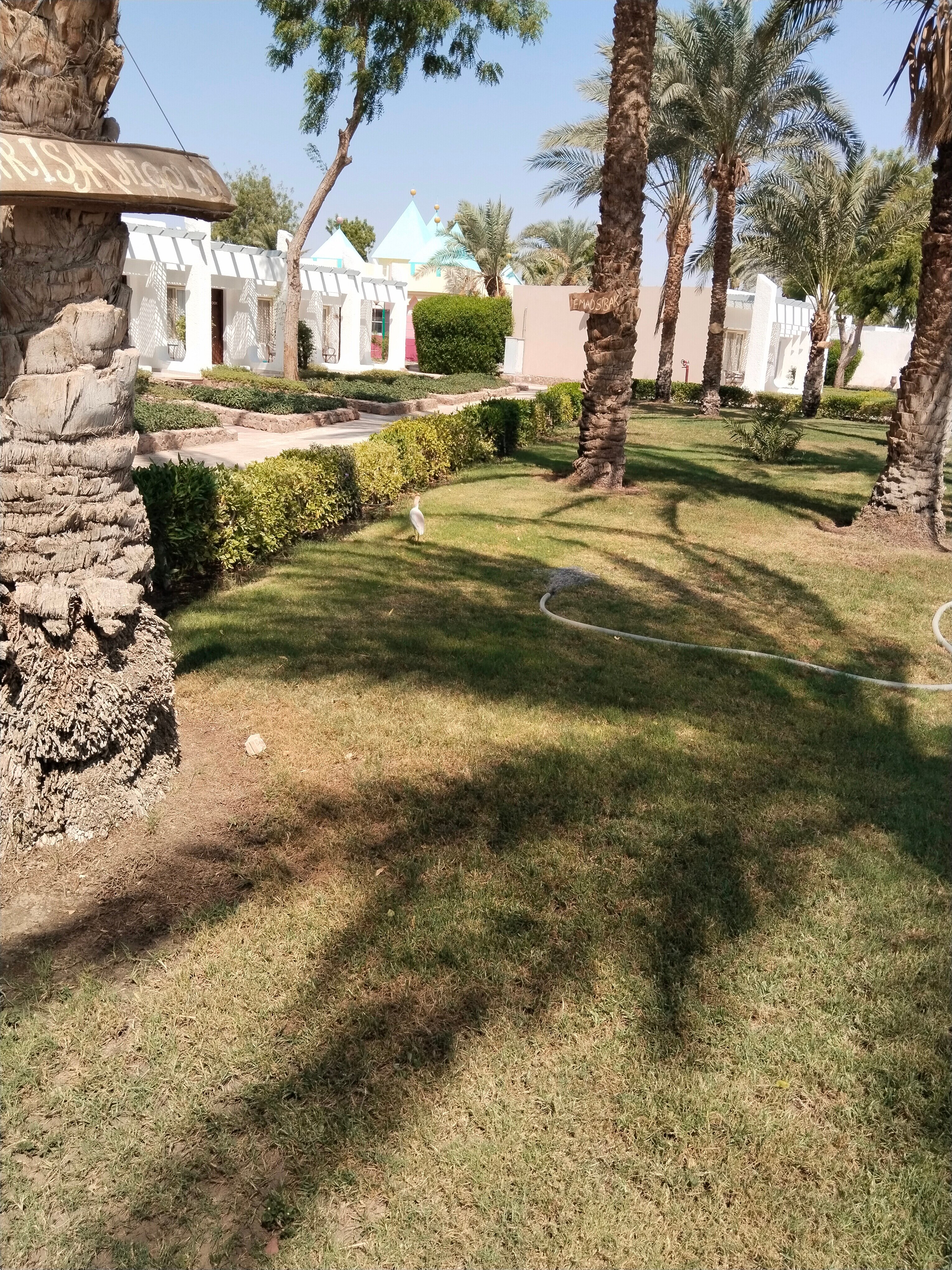 Фото Менавиль Резорт