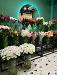 Shalfei (7-ya proseka, 90), floristeria