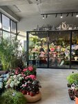 Flower Parade (Prechistenka Street, 39/22), flower shop