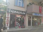 Giz Çiçek (Bursa, Yıldırım, Selçukbey Cad., 98A) ، محل زهور
