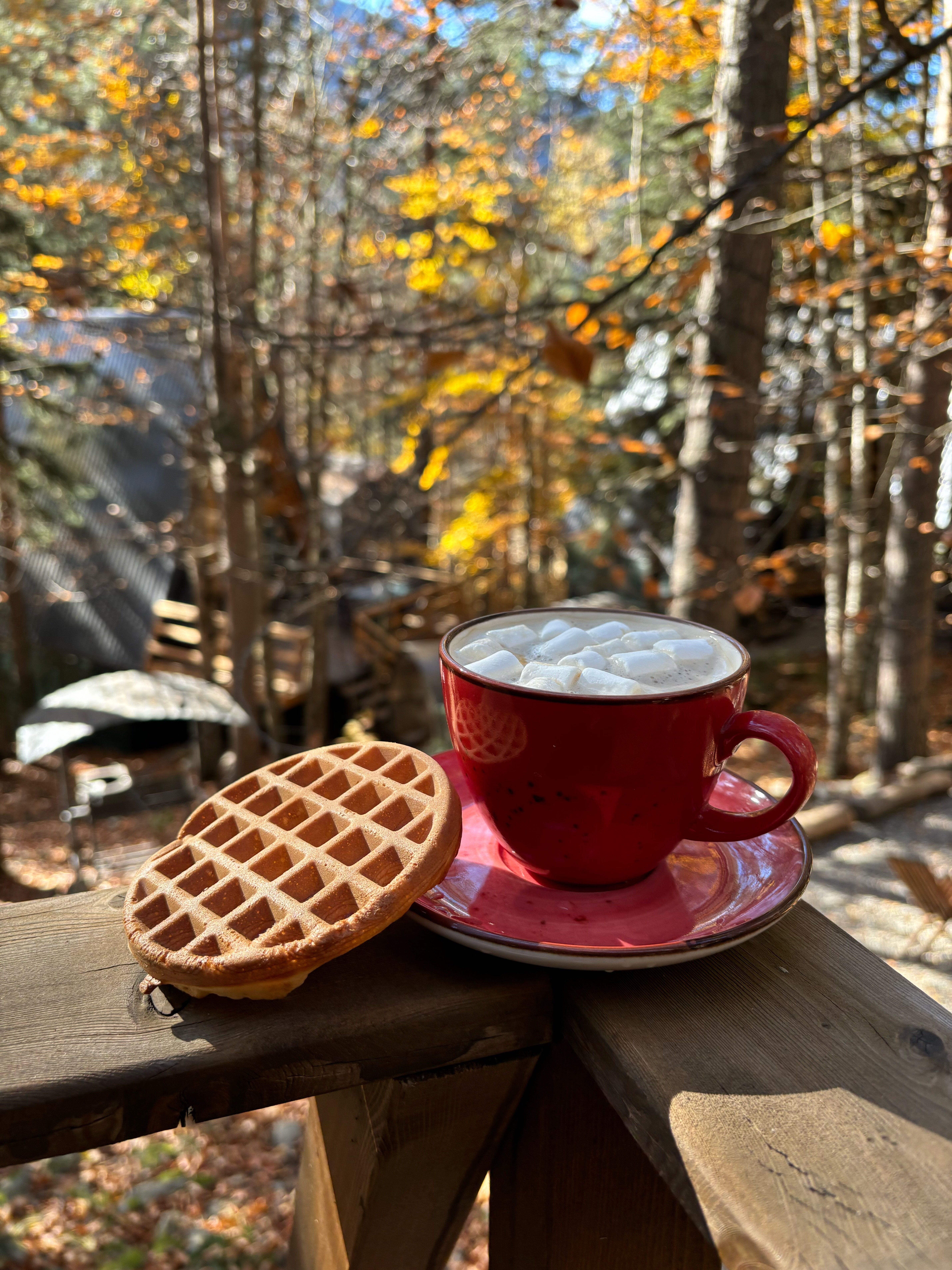Фото Отель Пушкин