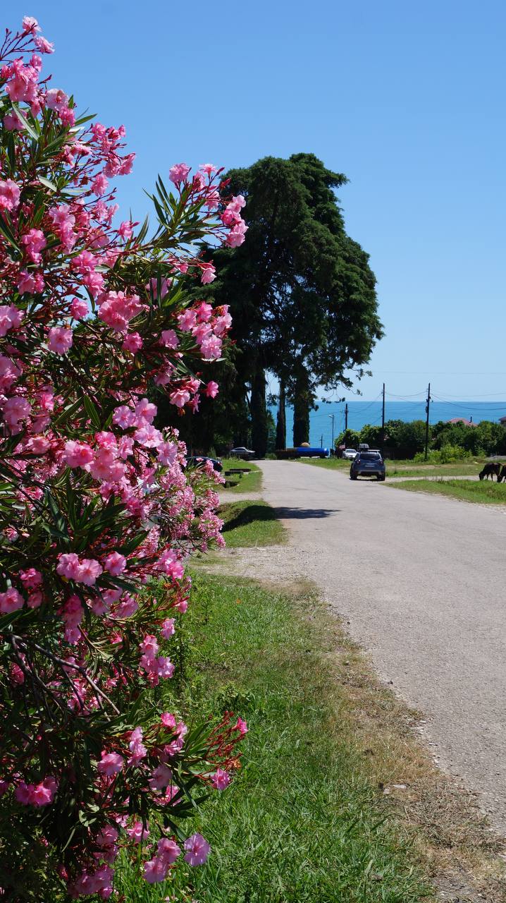 Фото Ретритный дом Гаури