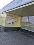 Первомайская улица (Voronezh Region, Novovoronezh, Pervomayskaya Street), public transport stop