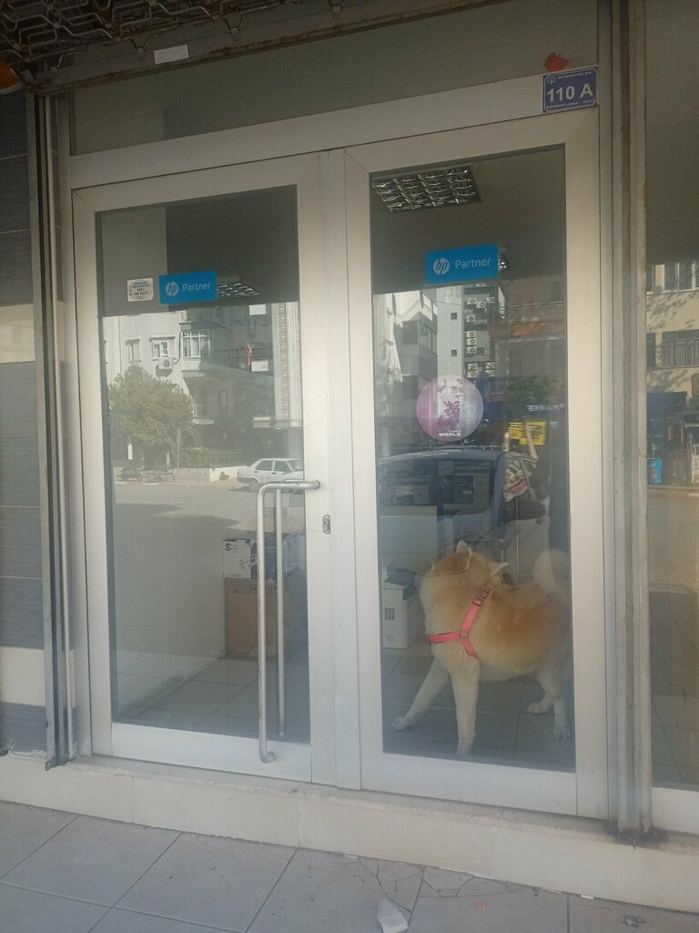 Electronic devices and components Canon Sistem, Antalya, photo