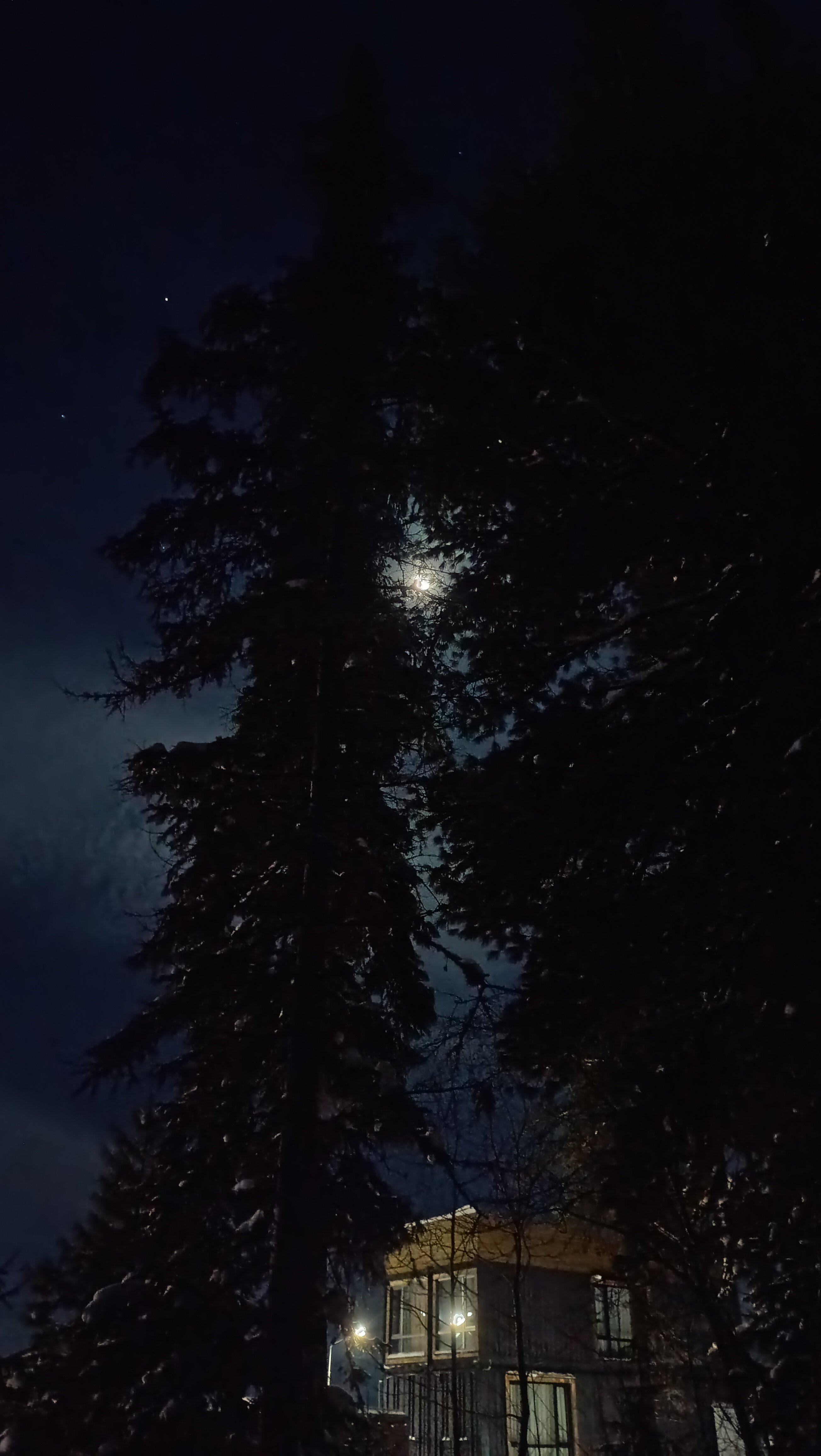 Фото Заповедный лес