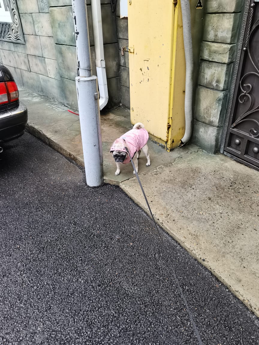 Фото Атланта