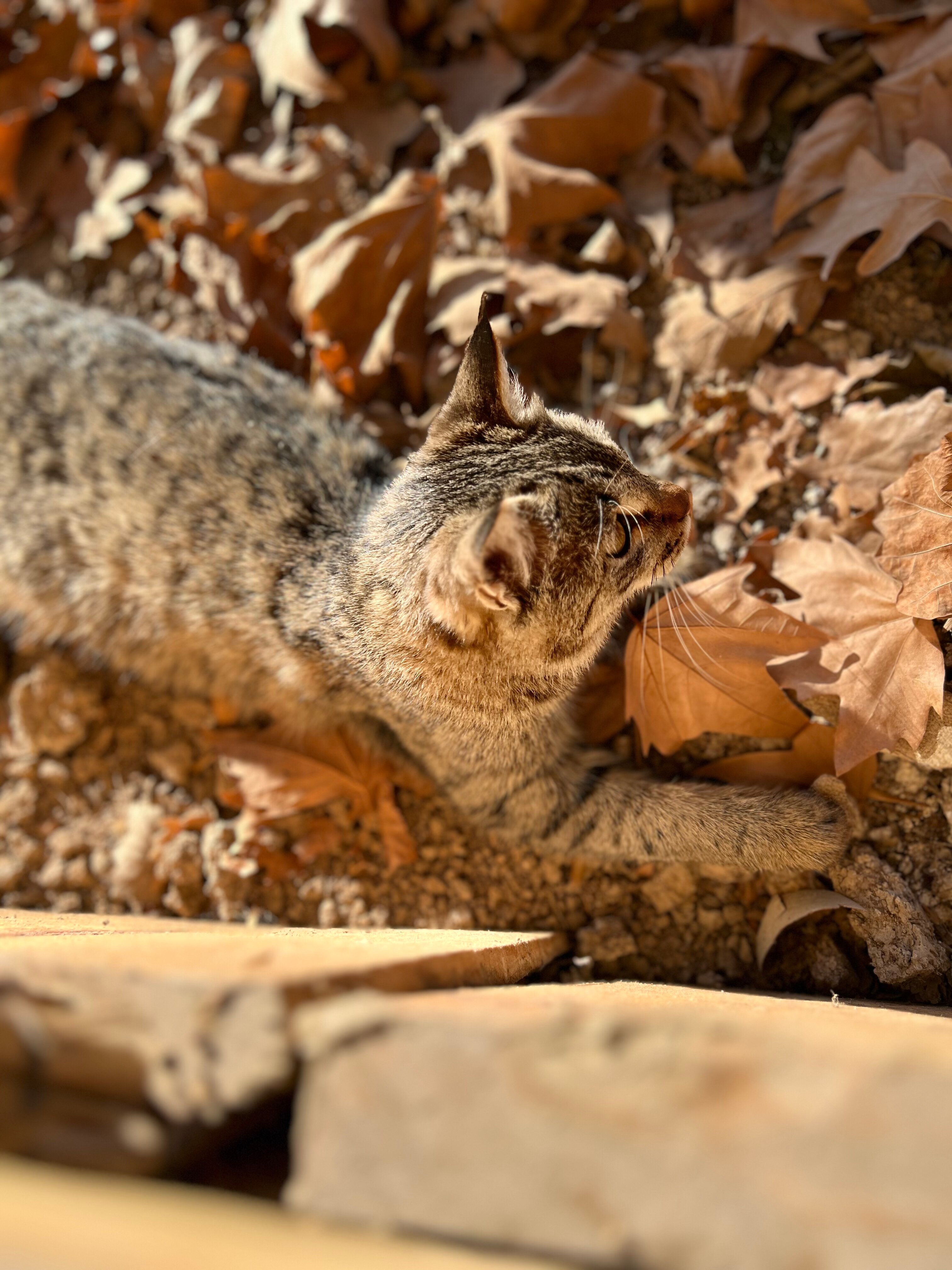 Фото Rano Eco Village