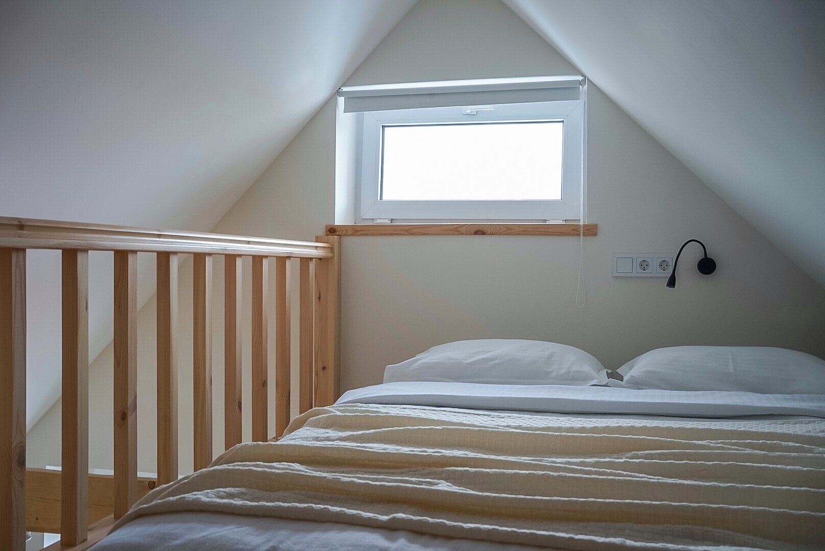 Фото Pavlov на улице Достоевского