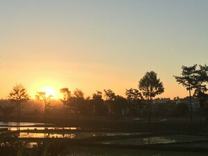 Гостиница Homelidays