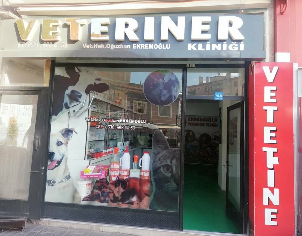 Veterinary clinic Ekremoglu Veterinary Clinic, Corum, photo