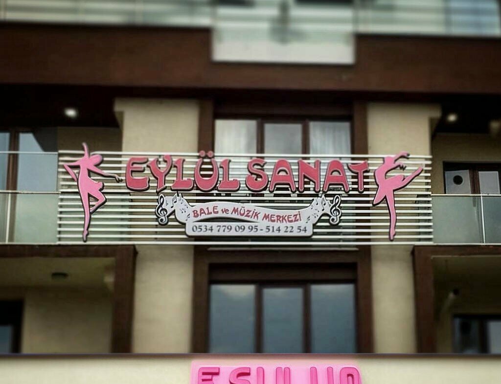Educational center Eylul Art and Ballet Center Duzce, Duzce, photo