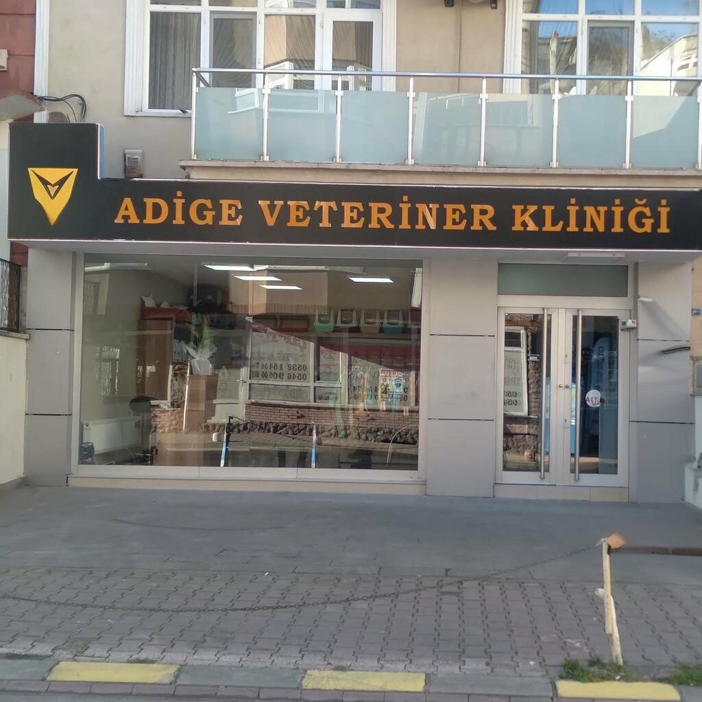 Veterinary clinic Adige Veterinary Clinic, Samsun, photo