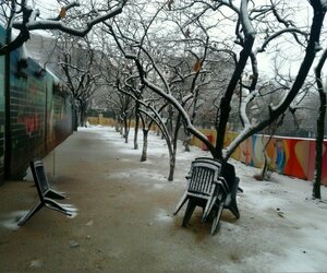 Ozgur Family Tea Garden (Hatay, Defne District, Şükrü Güçlü Blv., 23B), cafe