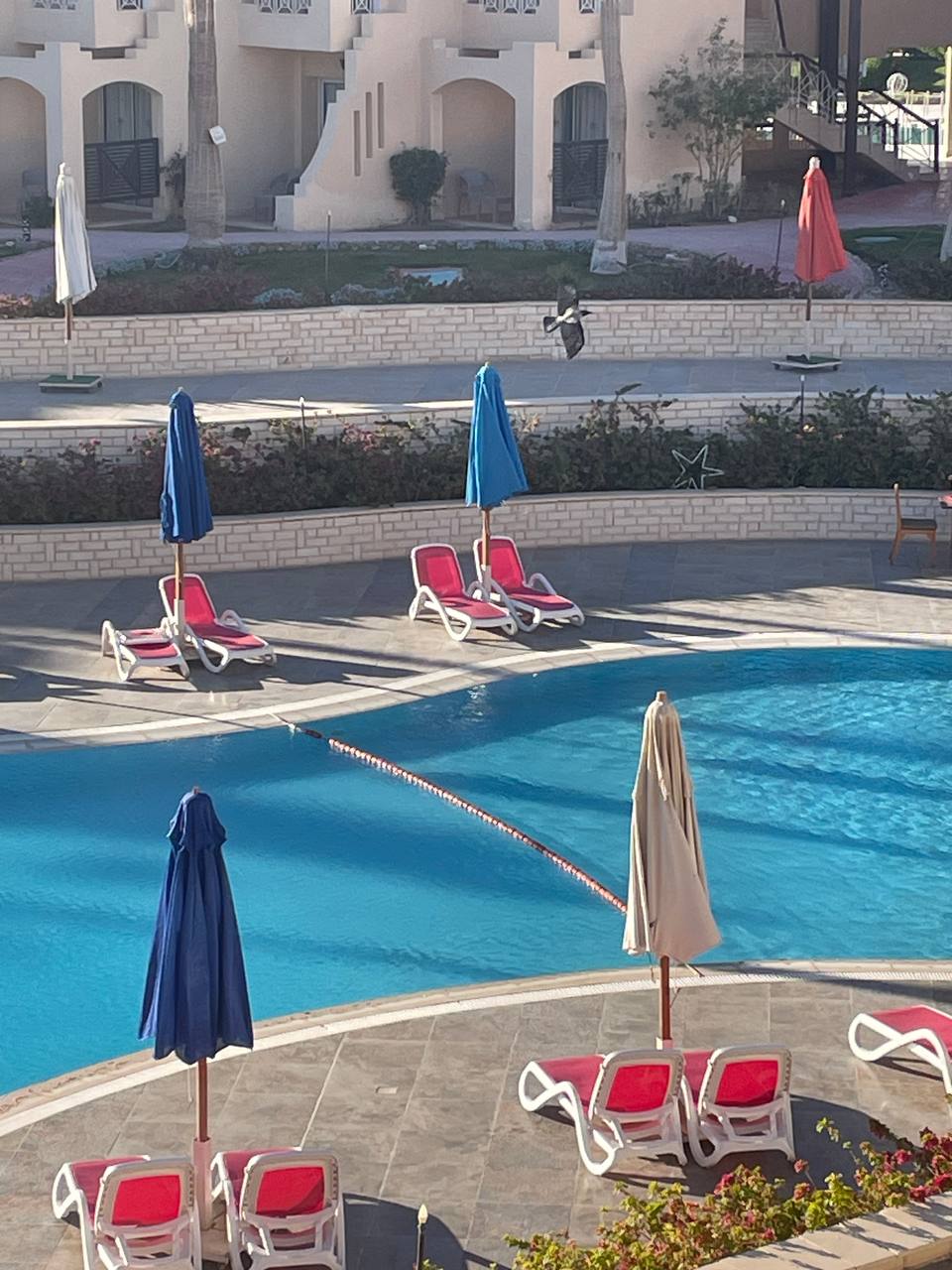 Фото Ivy Cyrene Sharm Resort