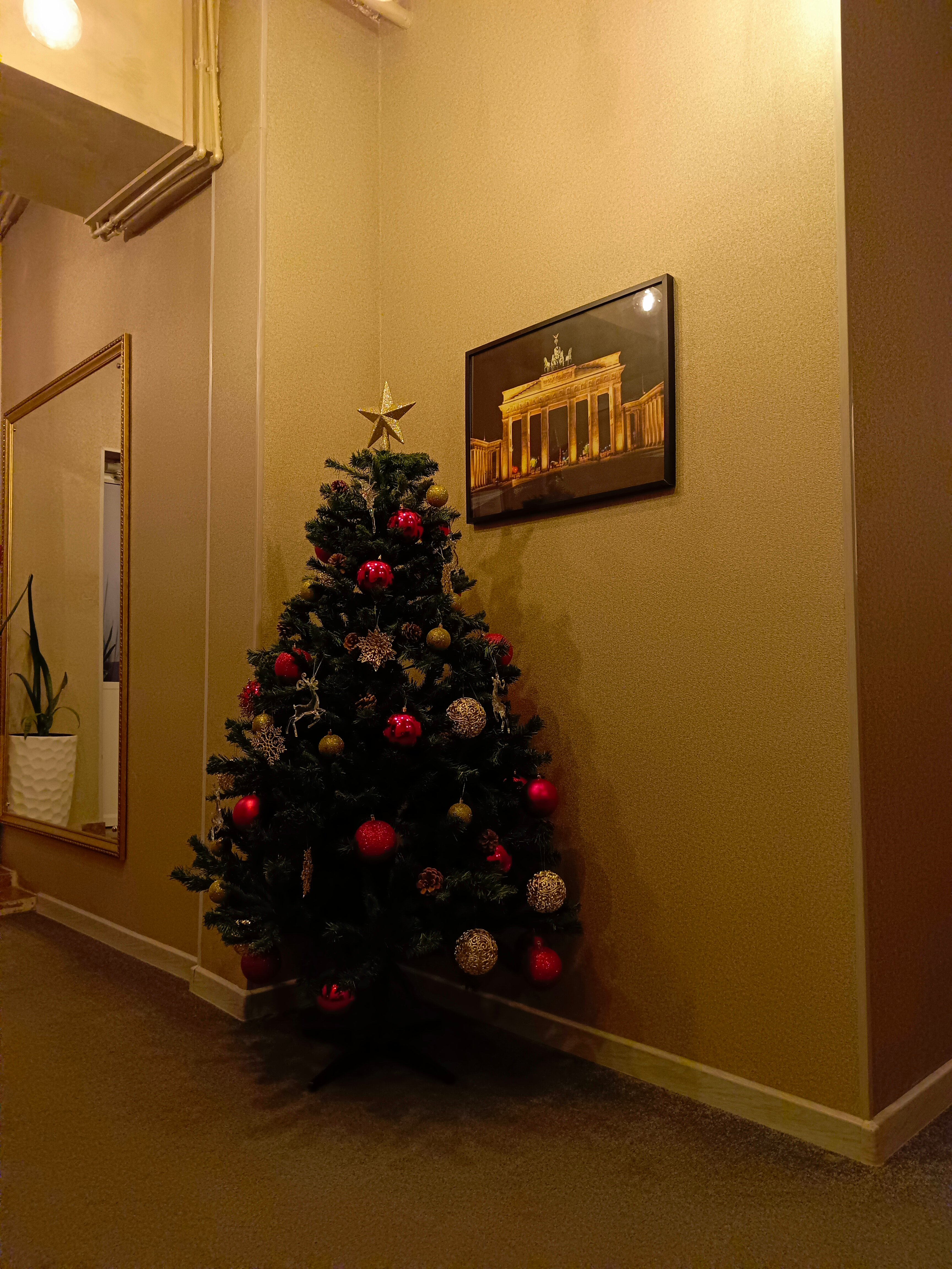 Фото Флагман